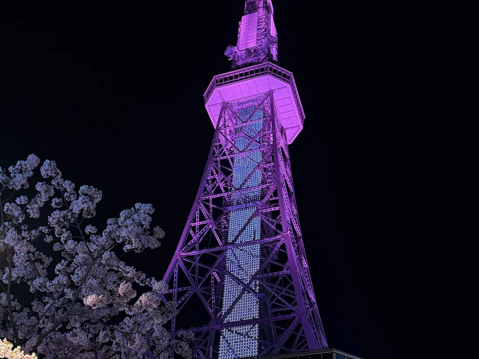 A purple-lit TV tower above cherry blossoms at night