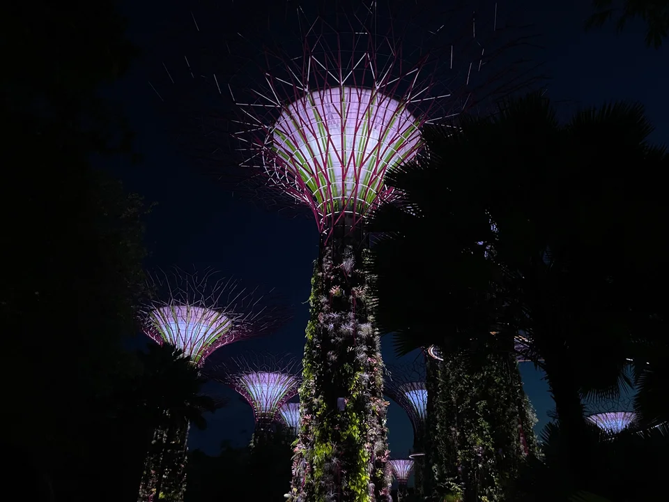 The Supertree Grove at Gardens by the Bay, Singapore, at night